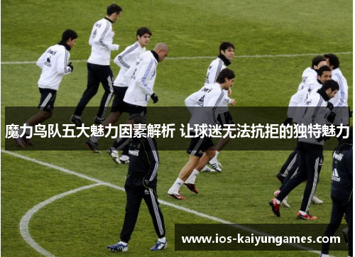 魔力鸟队五大魅力因素解析 让球迷无法抗拒的独特魅力