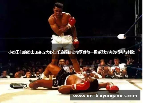 小拳王们的拳击比赛五大必知乐趣揭秘让你享受每一场激烈对决的精彩与刺激